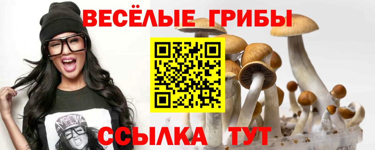 Галлюциногенные грибы GOLDEN TEACHER Кимры